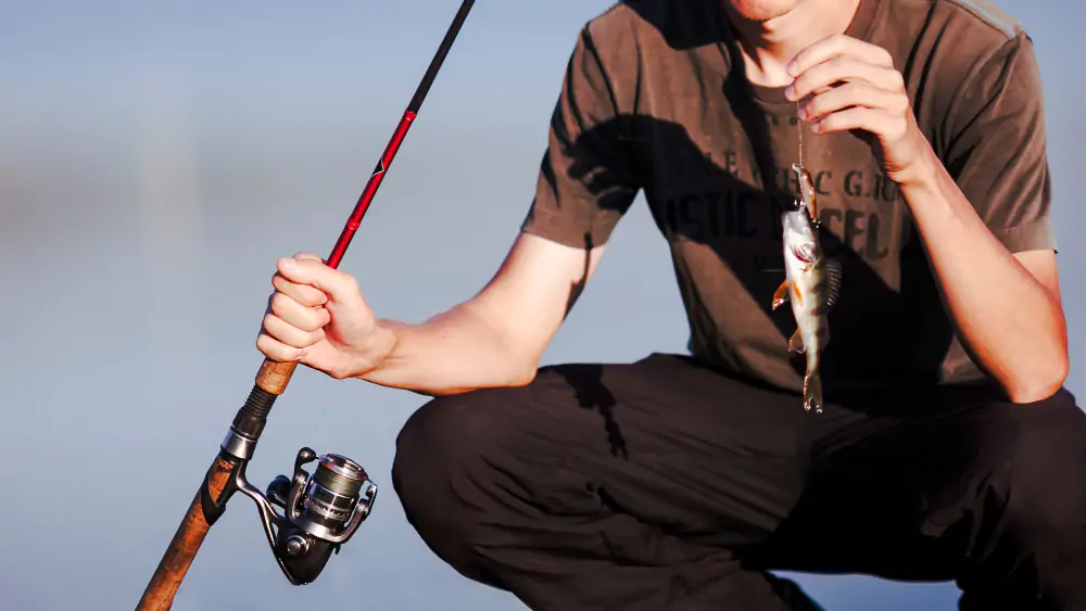 Smart Fishing Rods